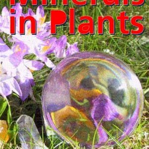 Minerals in Plants 1