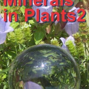 Minerals in Plants 2