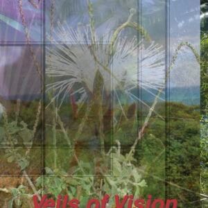 Veils of Vision