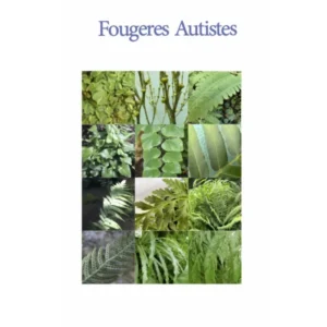 Fougères autistes