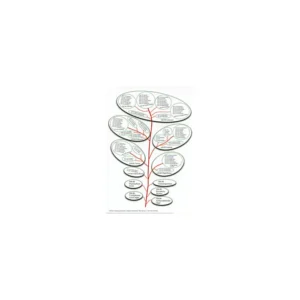 Cards Plant theory - tree